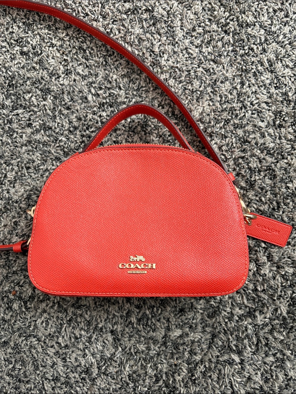 COACH Leather Dome Crossbody with Gold Logo